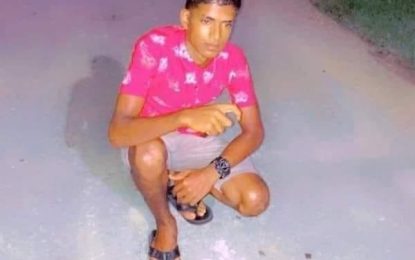 Belle West teen killed over old grievance