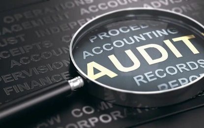Egyptian, French firms submit bids to train persons to conduct oil audits