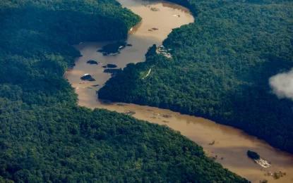 Guyana has “full confidence” in border case before ICJ