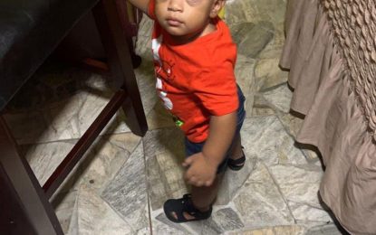 Baby dies after car crashes into truck