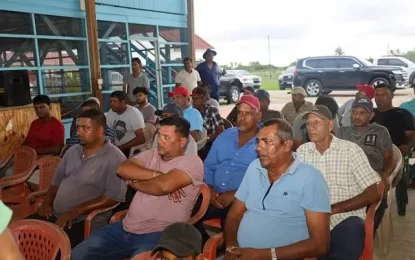 Rice cultivation to exceed 710,000 tonnes by year-end