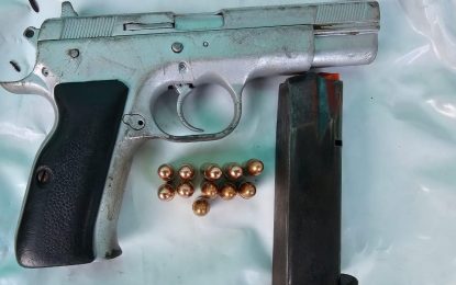 Boat captain arrested for gun, ammo possession