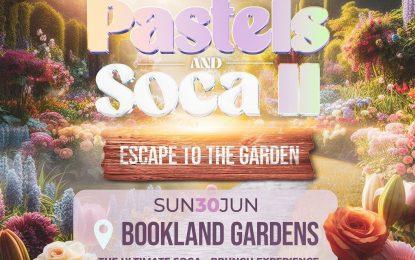 Grow your business at ‘Pastels and Soca’ while partying in elite style