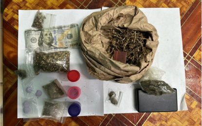 Man busted with gun, ammo and cannabis