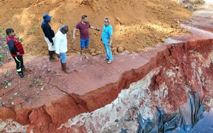 Waterlogged Lethem trail to reopen today – Min. Indar