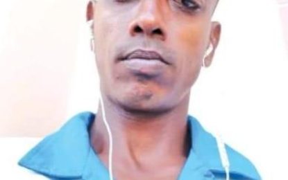 Man struck by speeding cop dies at Farm