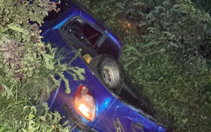 Driver flees scene after killing pedestrian in accident