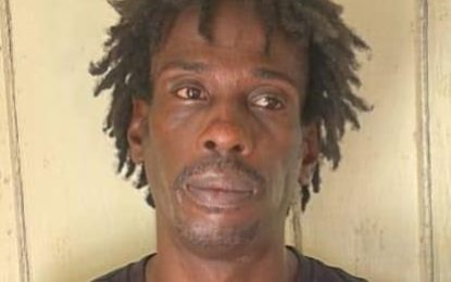 BV man in court for cocaine and ganja trafficking
