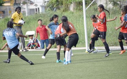 St. Ignatius pips Waramuri Top to be crowned Champions