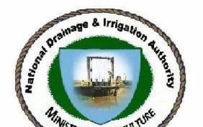 NDIA to spend close to $300M to clean up city drains