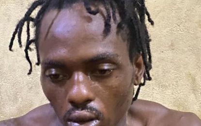 Man jumps through window with illegal gun during police raid