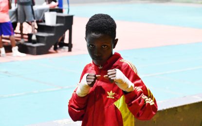 GBA National Novices Championship concludes tonight