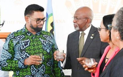 Regional distillers should form body to market rums, spirits – Pres. Ali
