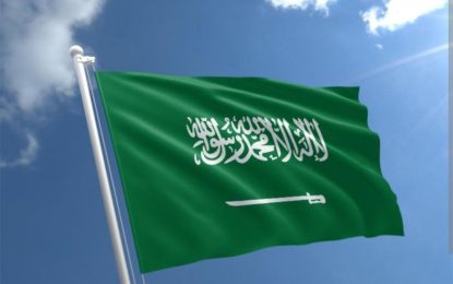 Country profile: Saudi Arabia