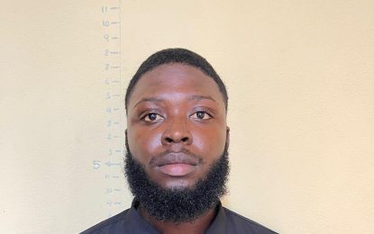 Security guard on $1M bail over killing Mon Repos teen