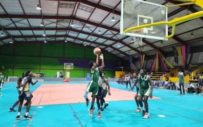 Georgetown Regional U14 and U18 Basketball Finals billed for tomorrow