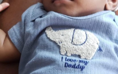 Three-month-old dies at Kaneville day care