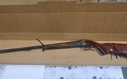 Construction worker, businesswoman arrested over possession of unlicensed shotgun