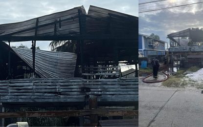 Fire guts South Ruimveldt home