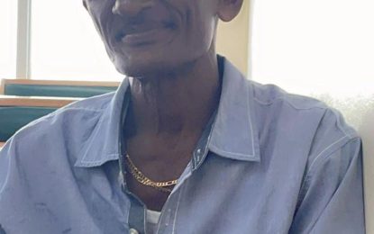 Man, 26, confesses to killing pensioner found dead in swamp