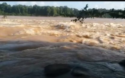 Brazilian national feared dead after boat mishap