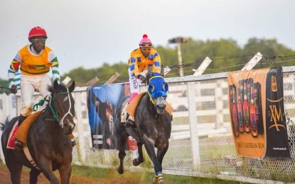 Easy Time, Spankhurst, Stolen Money and Bossalina among top horses confirmed