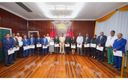 Constitutional Reform Commission still to begin work three months after installation