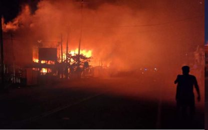 Fire Service to investigate ranks response to deadly Bush Lot blaze