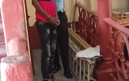 Teen remanded after found with unregistered bike and unlicensed gun