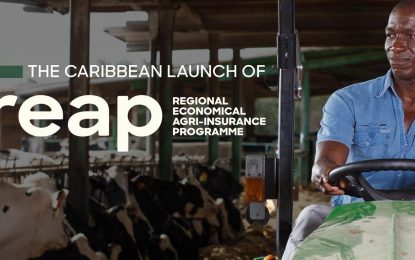Regional Agri-insurance programme launched to safeguard farmers from threats