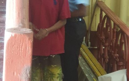 Plant thief remanded