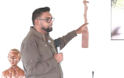 Guyana to double legally protected areas within 18 months – Pres. Ali says at 2024 Concordia Amazonas Summit