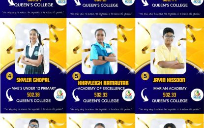 Success Elementary girl tops NGSA