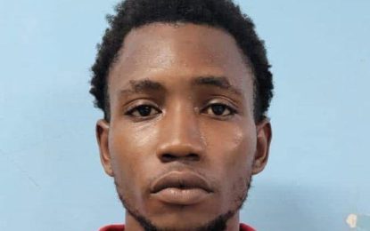 Teen nabbed with unregistered bike and unlicensed gun