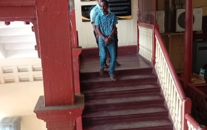 Fish vendor charged with discharging a loaded gun