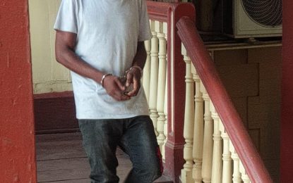 Magistrate tells man ‘Stop thieving mirrors or you’ll go to jail’