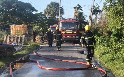 Fire destroys storage bond in Sophia