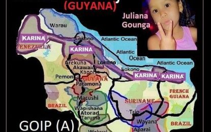 5-year-old girl drowns after falling into old mining pit