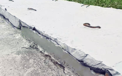 Cracks in newly built Schoonord to Crane highway not a problem – Pres. Ali 