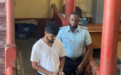 Contractor remanded for failing to complete homes after collecting millions