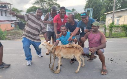 All Star claim domino title in Wakenaam