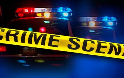 Suspect shot in police confrontation in Sophia