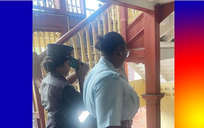 Firewoman charged with seven counts of cybercrime