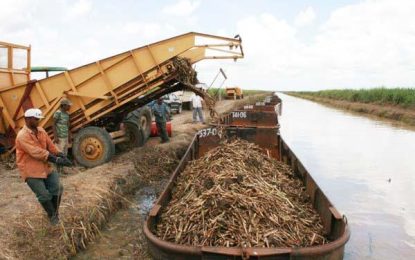 GuySuCo will miss production target again