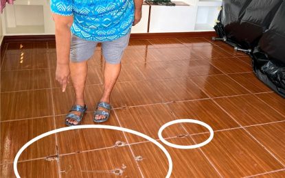 Crane residents fearful as mysterious oily substance seeps through house floor