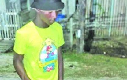 11-yr-old boy charged for killing Sophia teen