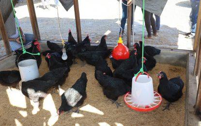 $15 M model farm commissioned at Talorgie