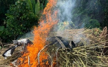 Police burn $27M worth of ganja