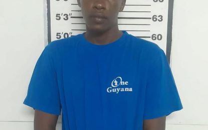 Soldier remanded for stabbing and chopping Fiancé