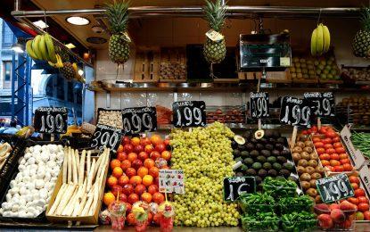 FAO Food Price Index declines in November for third consecutive month